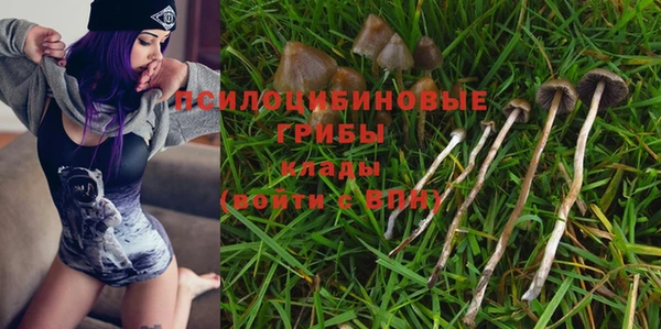 дмт Вязьма