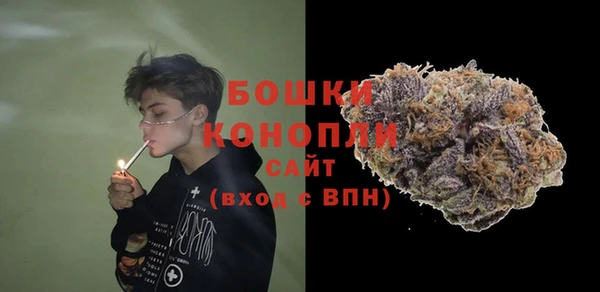 бошки Алексин