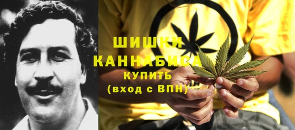 бошки Алексин