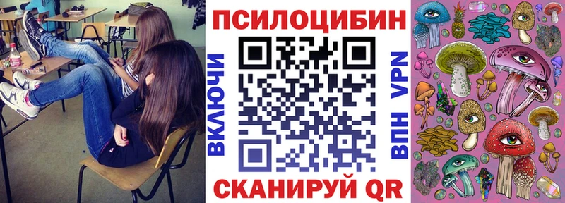 Галлюциногенные грибы GOLDEN TEACHER  MEGA онион  Покров  где купить наркоту 